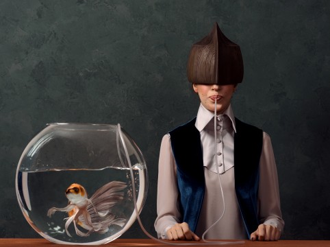 تناقض الاستدامة والعمل الخيري